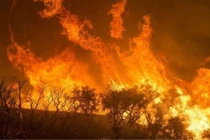 Cả thế giới đã hiểu sai về rừng Amazon?