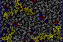 Mô phỏng máy tính giúp tăng cường hiệu quả hệ thống phân phối mRNA