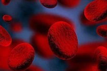 Máu là gốc của sự sống: Những thực phẩm bổ máu tốt nhất bạn nên ăn mỗi ngày để phòng bệnh