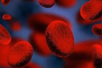 Máu là gốc của sự sống: Những thực phẩm bổ máu tốt nhất bạn nên ăn mỗi ngày để phòng bệnh