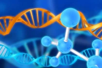 Gene có thể bật và tắt