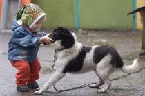 Trẻ 4 tuổi tử vong do bị chó cắn