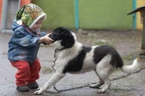 Trẻ 4 tuổi tử vong do bị chó cắn