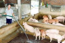 Công nghệ xử lý yếm khí nước thải giàu hữu cơ