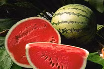 Dưa hấu có thay thế được Viagra chữa cương dương?