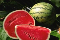 Dưa hấu có thay thế được Viagra chữa cương dương?