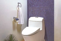 Bạn đã biết cách phát hiện bồn cầu rò nước?