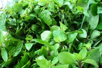 Mẹo chọn rau thơm thơm ngon hấp dẫn an toàn cho ngày Tết