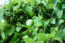 Mẹo chọn rau thơm thơm ngon hấp dẫn an toàn cho ngày Tết