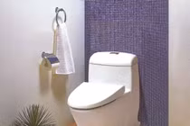 Bạn đã biết cách phát hiện bồn cầu rò nước?