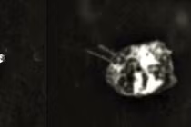 Vật thể lạ hình con bọ chao lượn trên Mặt Trăng