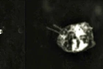 Vật thể lạ hình con bọ chao lượn trên Mặt Trăng