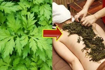 Thuốc đắp hỗ trợ chữa đau lưng, thoát vị đĩa đệm