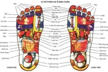 Xoa bóp bàn chân chữa u xơ tiền liệt tuyến