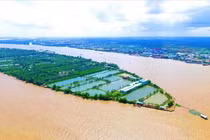 Khu du lịch Cồn Sơn thuộc phường Bùi Hữu Nghĩa, quận Bình Thủy, TP Cần Thơ.