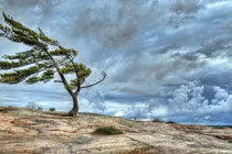 Thời gian xuất hiện gió Lào