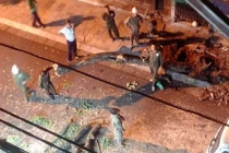 Người dân bất ngờ thấy cây sưa đỏ trên phố cổ Hà Nội bị chặt trong đêm