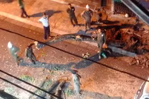 Người dân bất ngờ thấy cây sưa đỏ trên phố cổ Hà Nội bị chặt trong đêm