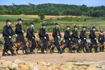 Đại biểu Quốc hội: Thành lập Trung đoàn không quân CSCĐ là "cái cày đi trước con trâu"