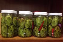 Nụ thanh long muối chua