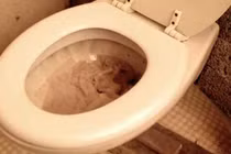 Hệ thống cấp nước xả vệ sinh