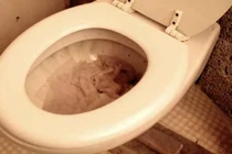 Hệ thống cấp nước xả vệ sinh