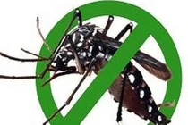 Thiết bị thu hút và diệt muỗi