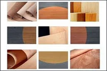 Trò chơi chuyển động liên hoàn