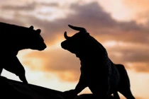 Cổ phiếu cảng biển đồng loạt tăng trần, VN-Index tăng điểm phiên thứ 2 liên tiếp