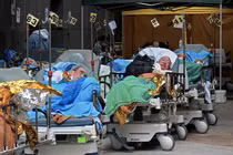 Hong Kong gánh chịu sự cố từ việc chậm điều chỉnh chiến lược chống dịch