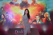 Dàn sao tham dự khởi chiếu Sinh Vật Huyền Bí: Những Bí Mật Của Dumbledore