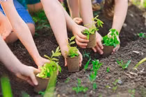 Đề án 1 tỷ cây xanh, nên ưu tiên miền Trung trước