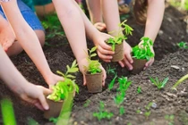 Đề án 1 tỷ cây xanh, nên ưu tiên miền Trung trước