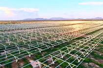 Đất quốc phòng trong Nhà máy điện mặt trời lớn nhất Đông Nam Á của Tập đoàn Xuân Thiện