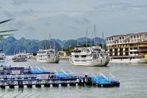 Quảng Ninh: 240 chủ tàu bên bờ phá sản xin giãn nợ