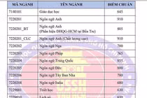 Điểm chuẩn năng lực vào Nhân văn, Bách khoa TPHCM tăng mạnh