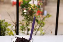 Ống hút từ rau củ