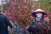 Hà Nội rét đậm đến bao giờ?