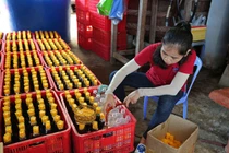 Không thể đặt 30%GDP ra "ngoài vòng pháp luật" 