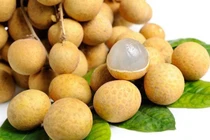  Quả nhãn bổ thần kinh