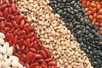 Đậu trị ngứa toàn thân