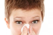 Tác nhân gây viêm mũi dị ứng