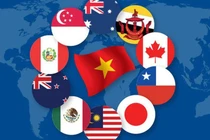 Chưa doanh nghiệp nào hưởng ưu đãi thuế từ CPTPP