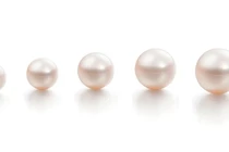 Bảo dưỡng ngọc trai