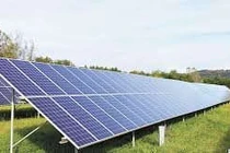 Sẽ xây dựng cơ chế đấu thầu điện mặt trời