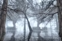 Bí ẩn “cửa địa ngục” nơi chất đầy những bộ hài cốt