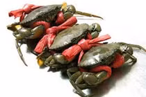 Cua biển bổ khí huyết, ích xương tủy