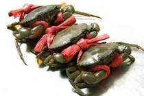 Cua biển bổ khí huyết, ích xương tủy