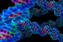 Tìm ra gene giúp bảo vệ người mắc COVID-19 chuyển nặng