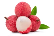 Nhật Bản ủy quyền Việt Nam giám sát vải thiều xuất khẩu